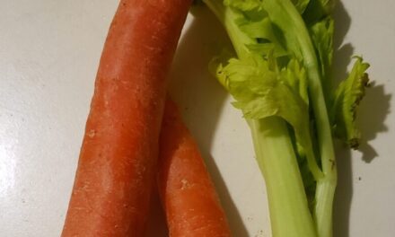 Carrots and Celery. Fort Wayne Fitness Blog