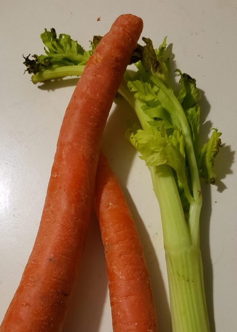 Carrots and Celery. Fort Wayne Fitness Blog