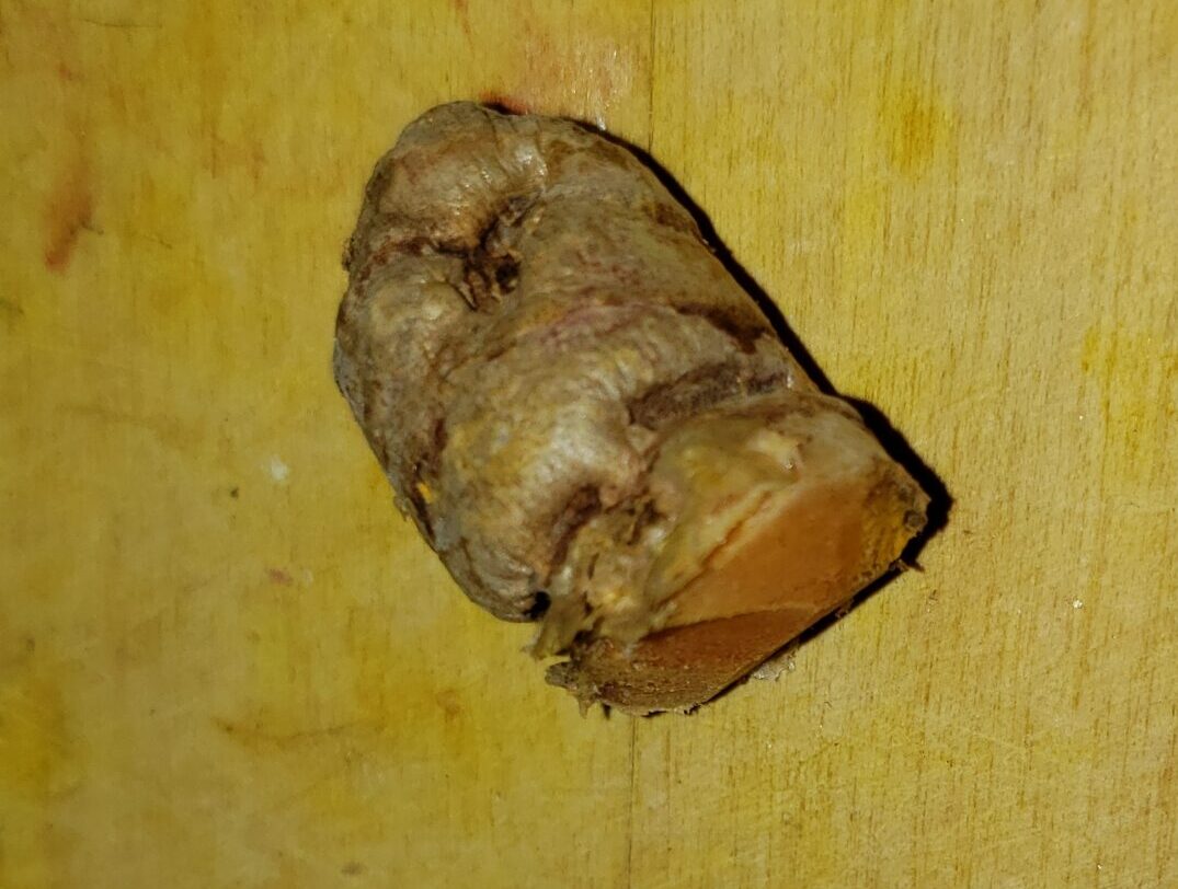 Where are you Turmeric root?