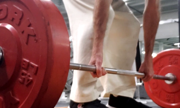 Please don’t use metal plates on the Power-lift platforms. Shane Grantham Fitness Blog