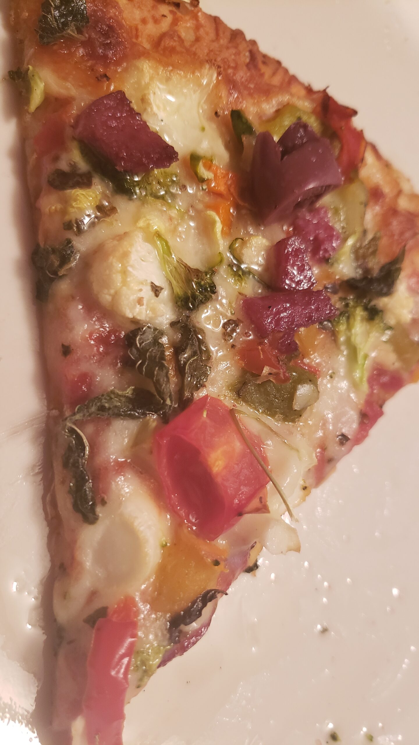 I miss you Pizza.  Fort Wayne Fitness Blog